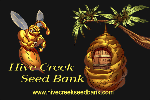 Hive Creek Seed Bank logo of a boxing bee and a hive